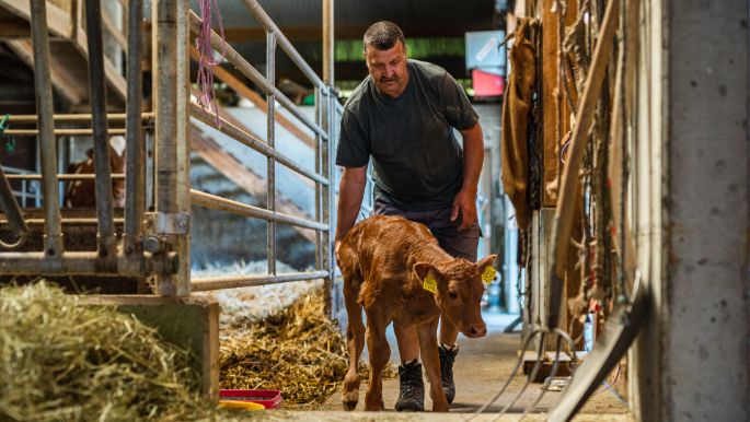 Feldhof Wiederkehr_Wiederkehr_Gontenschwil_Arbeit
