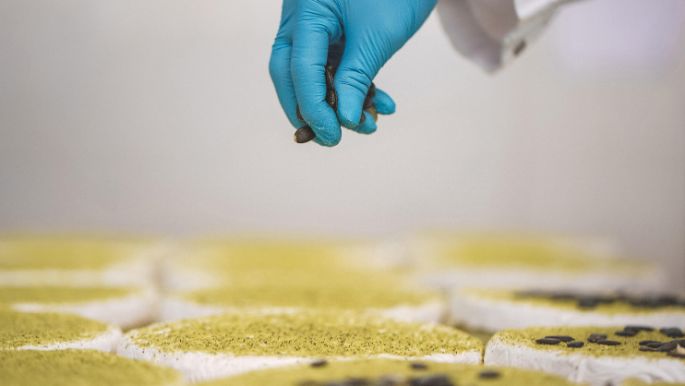 aut-ueberemmi-konfektionierung-briedeko