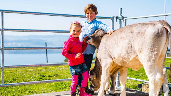 Panoramahof_Bolleter-Diakun_Meilen_Kinder