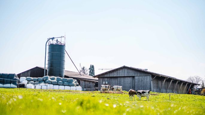Tambelhof_Stalder_Herrliberg_Hof