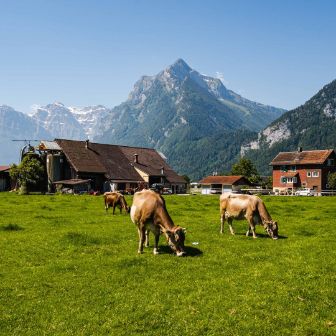 Kupfernhof_Landolt_Mollis_Hof