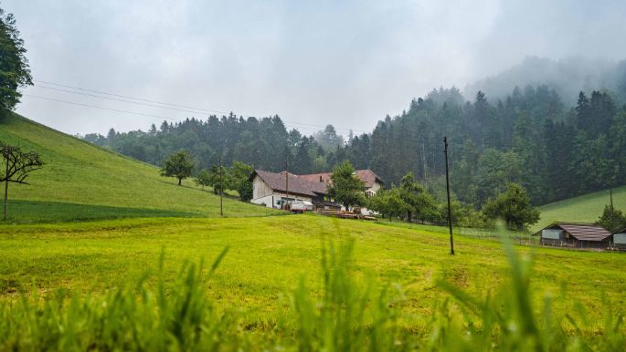 Schattige Schwendi_Hofstetter_Oberbalm_Hof