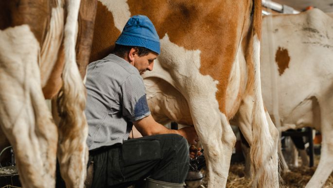 Jäggihof_Jäggi_Fulenbach_Arbeit