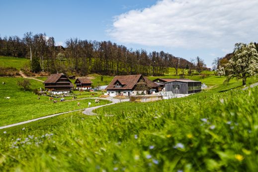 Lindenfeldweid_Unternährer_Luzern_Hof