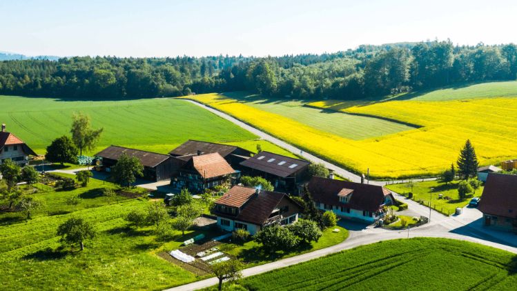 Wyssmann_Wyssmann_Neuenegg_Drohne