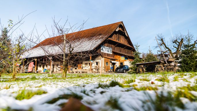 Ober-Grundhof_Schmid_Emmen_Hof_2