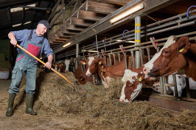 Lucherenhof, Ueli und Christine Fahrni, Rumisberg_Stall_2