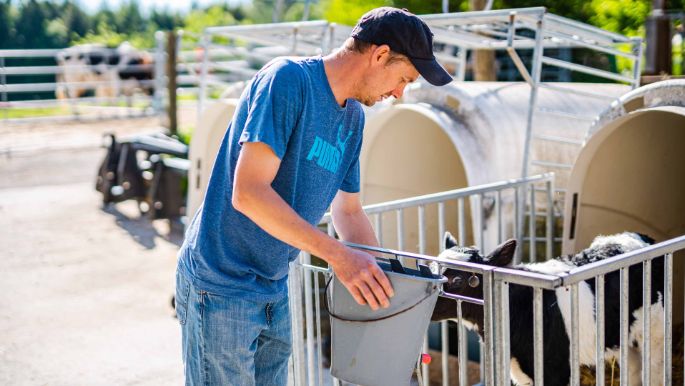 Im_Hof_Gnägi_Bellmund_Arbeit