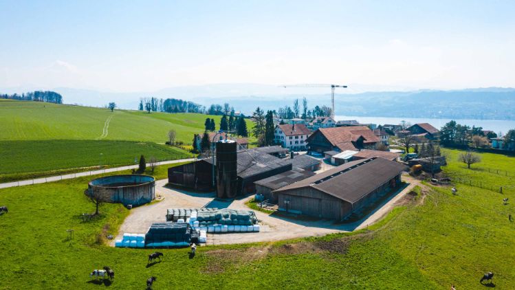 Tambelhof_Stalder_Herrliberg_Drohne