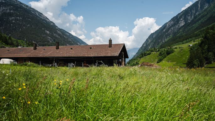 Dieden_Baumann_Wassen_Hof