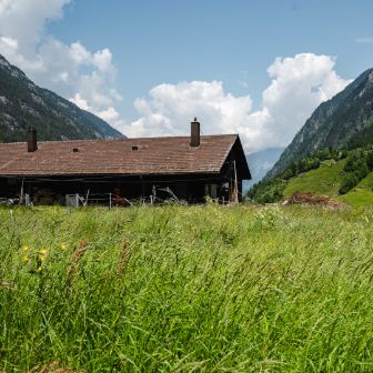 Dieden_Baumann_Wassen_Hof