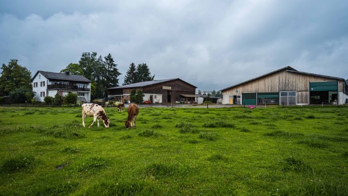 Büelhof_Trutmann_Riedikon_Hof