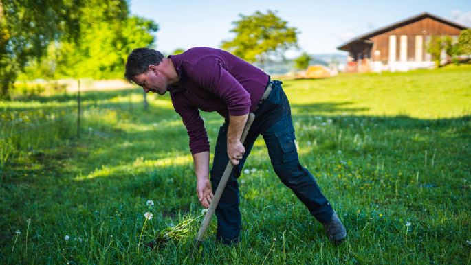 Bio_Eichholz_Scherrer_Lengnau_Arbeit