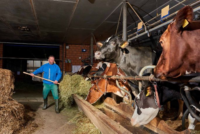 Egghof, Willi Lienhard, Steinmaur_Stall