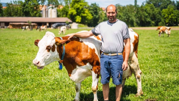 Eichhof_Krebs-Jenni_Bühl_b._Aarberg_Kuh_2