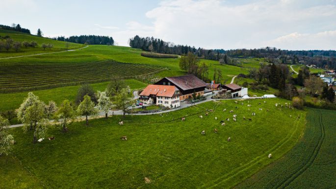 Landgut Widenmoos_Fischer_Winikon_Drohne