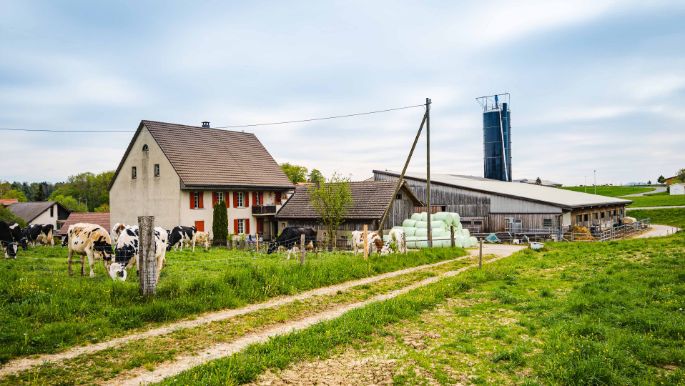 Hof_Ursprung_Knöpfel_Bözberg_Hof