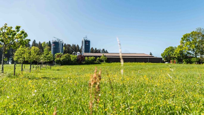 Meiers_Holstein_Meier_Kyburg_Hof