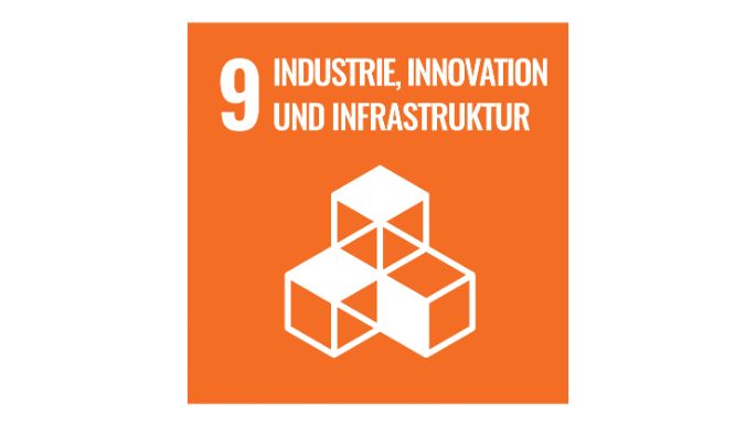 web-SDG_icons_DE-09-n