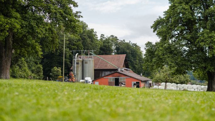 Egghof_Lienhard_Steinmaur_Hof