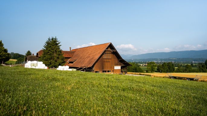 W?schbach_Schaub_R?ti bei B?ren_Hof