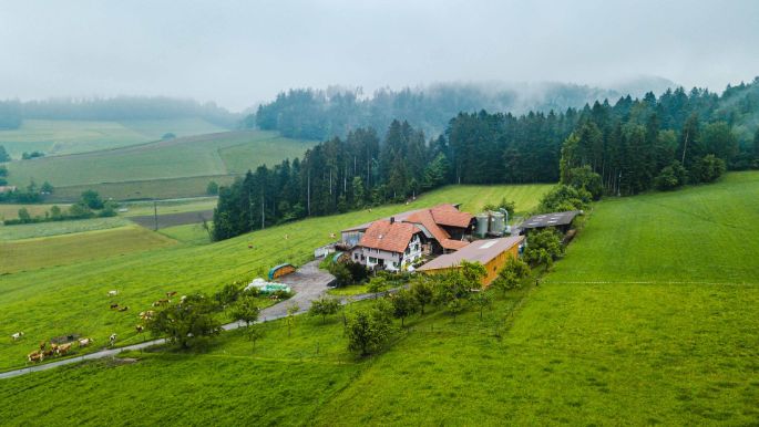 Gaselweid_Stettler_Gasel_Drohne