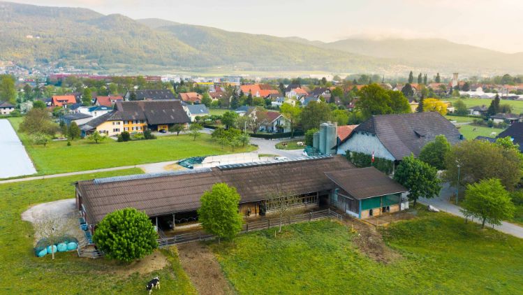 Lochmatthof_Klemens_Härkingen_Drohne