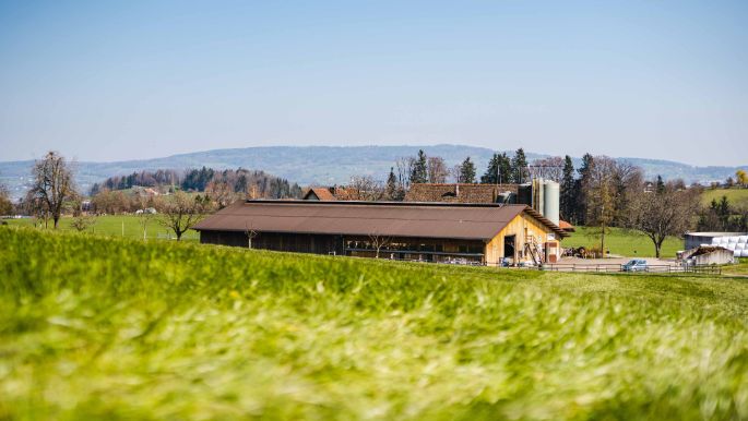 GG Hottinger-Bütler_Bütler_Wädenswil_Hof