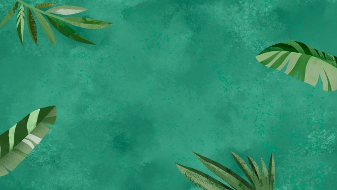 beleaf_stage_dark-green