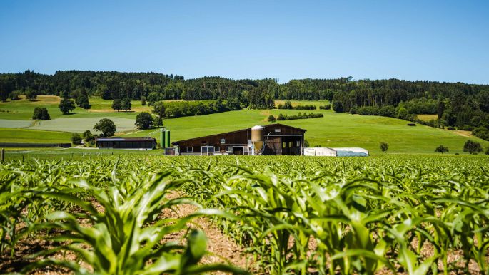 Hof Elmiger_Elmiger_Ermensee_Hof