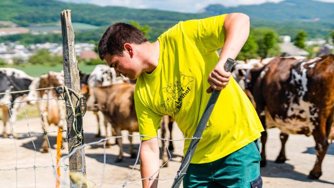 Lernort-Bauernhof_Pfefferli_Wangen_bei_Olten_Arbeit