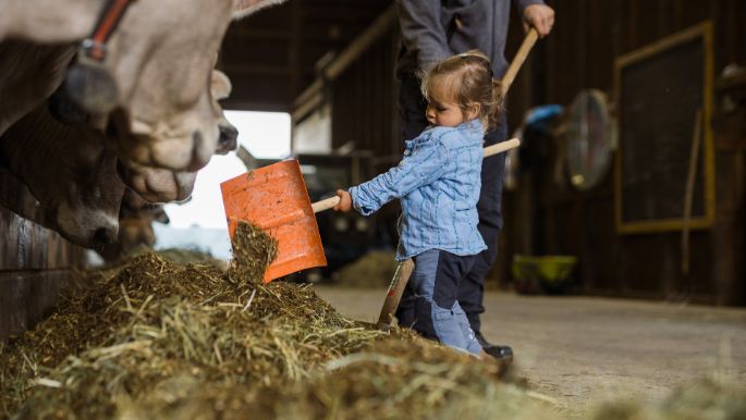 Oberhuserhof_Müller_Unterlunkhofen_Arbeit2