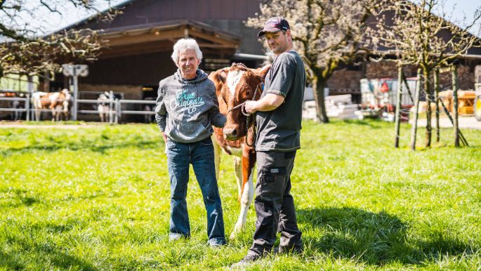 BG_Hagenbucher-Job_Hagenbucher_Birmensdorf_Kuh_2