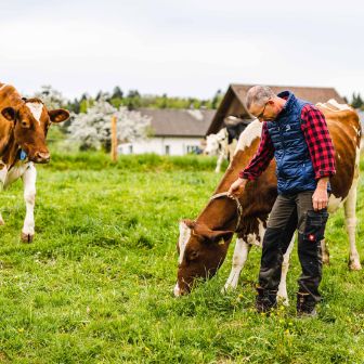 Hof_Ursprung_Knöpfel_Bözberg_Arbeit