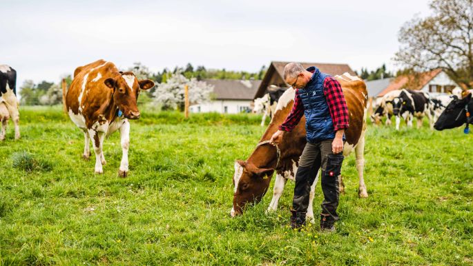 Hof_Ursprung_Knöpfel_Bözberg_Arbeit