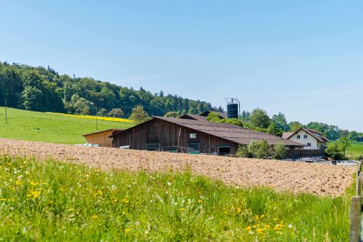 Lernort-Bauernhof_Pfefferli_Wangen_bei_Olten_Hof