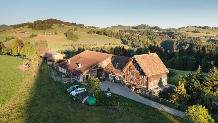 Nord_Müller_Stein_stage image