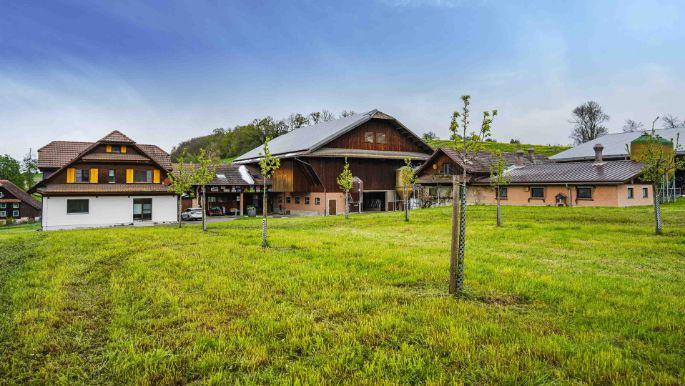 Sigerswil_Egli_Grosswangen_Hof