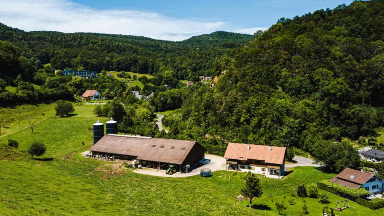 Moetschenhof_Lisser_Lostorf_Drohne