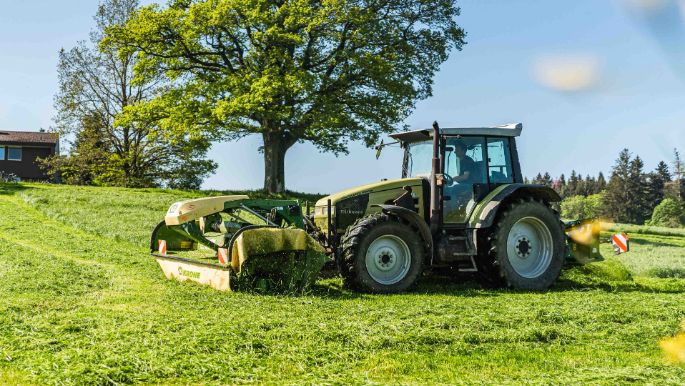 Meiers_Holstein_Meier_Kyburg_Arbeit
