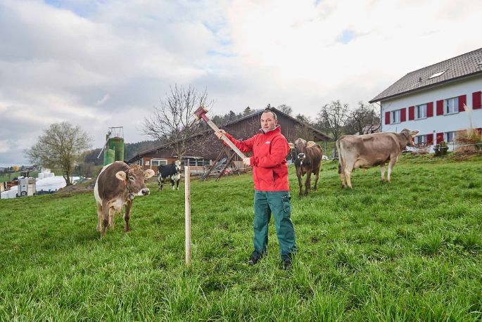 Im Lätten, Urs Köpfli, Islisberg_Weide_2