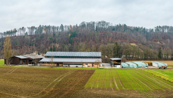 Steinhof_Ruprecht_Hof