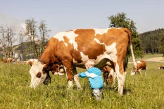 stories-wintermilch-sommermlich-stage