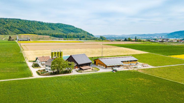 Riedhof_Märki_Rüfenach_Drone