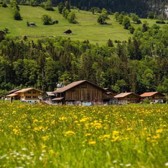 Hof Bieri_Bieri_Boltigen_Hof