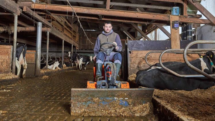 Feldhof, Simon Frauchiger, Oftringen_Stall_4