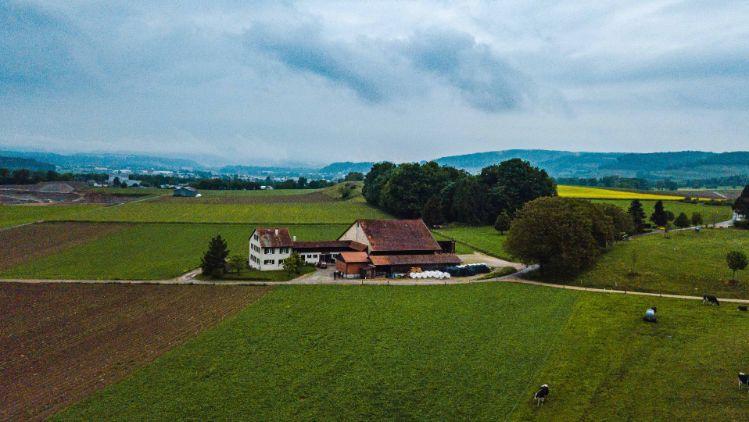 Wiegenhof_Stefani_Döttingen_Drohne