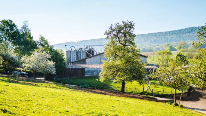 Sonnenberghof_Zimmermann_Ehrendingen_Hof