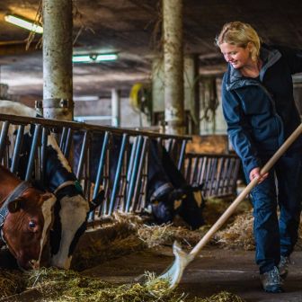 Hof Basler_Basler_Küttigen_Arbeit