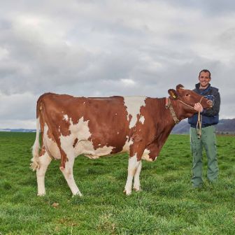 Sunnehof, Otto Zimmermann-Oeschger, Döttingen_Ganzkörper mit Kuh